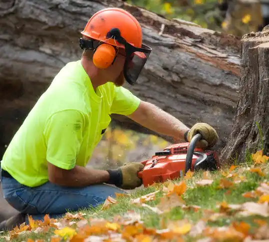 tree services Benham